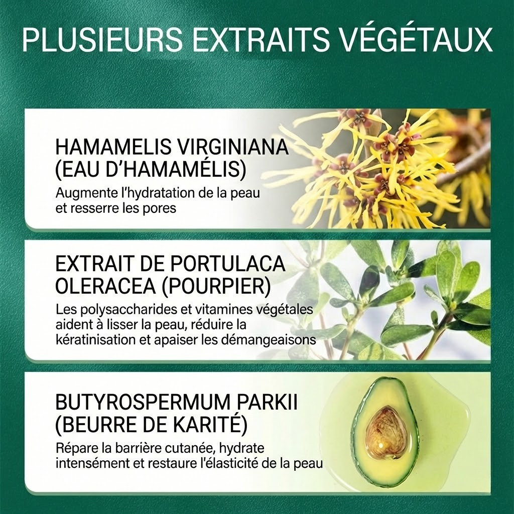 Crème à l'huile d'arbre à thé