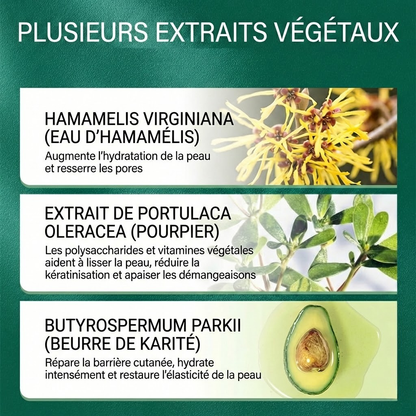 Crème à l'huile d'arbre à thé